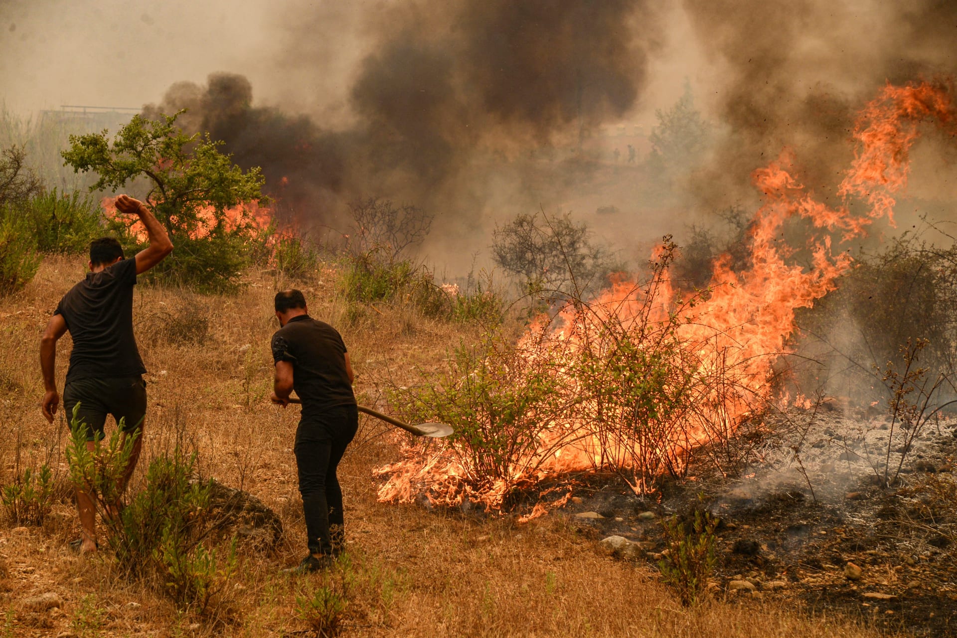 وكالة الأناضول : ارتفاع حصيلة قتلى حرائق الغابات في تركيا