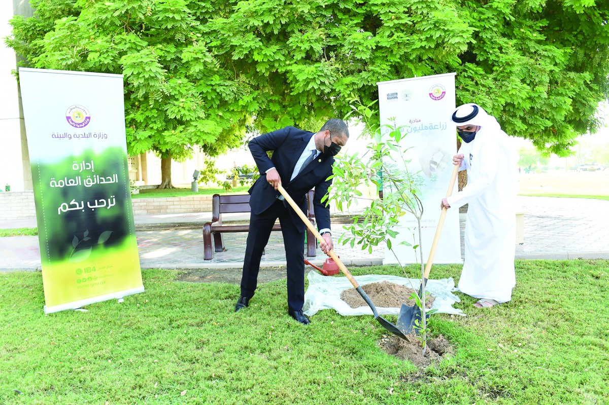 حملة تشجير في قطر لزراعة مليون شجرة ومشاركة لافتة من سفير هاييتي
