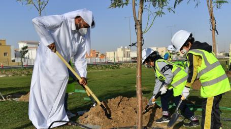 ضمن مبادرة زراعة مليون شجرة.. البلدية ترزع 5000 شجرة بمزرعة بلدنا