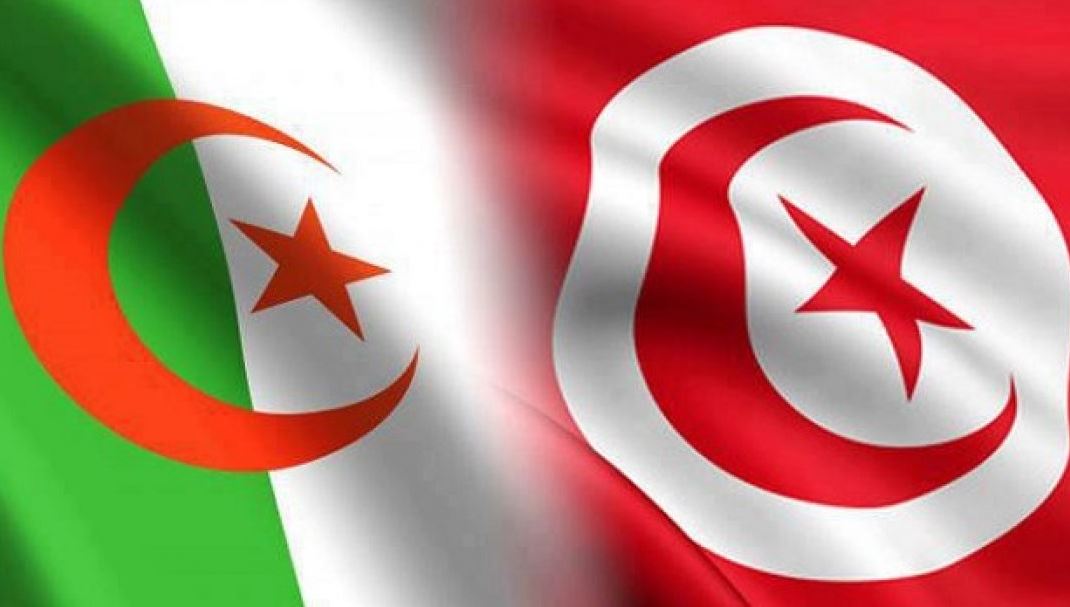 لجنة الانضباط بالاتحاد الافريقي تفرض عقوبات ضد منتخبي الجزائر وتونس في كأس أمم إفريقيا