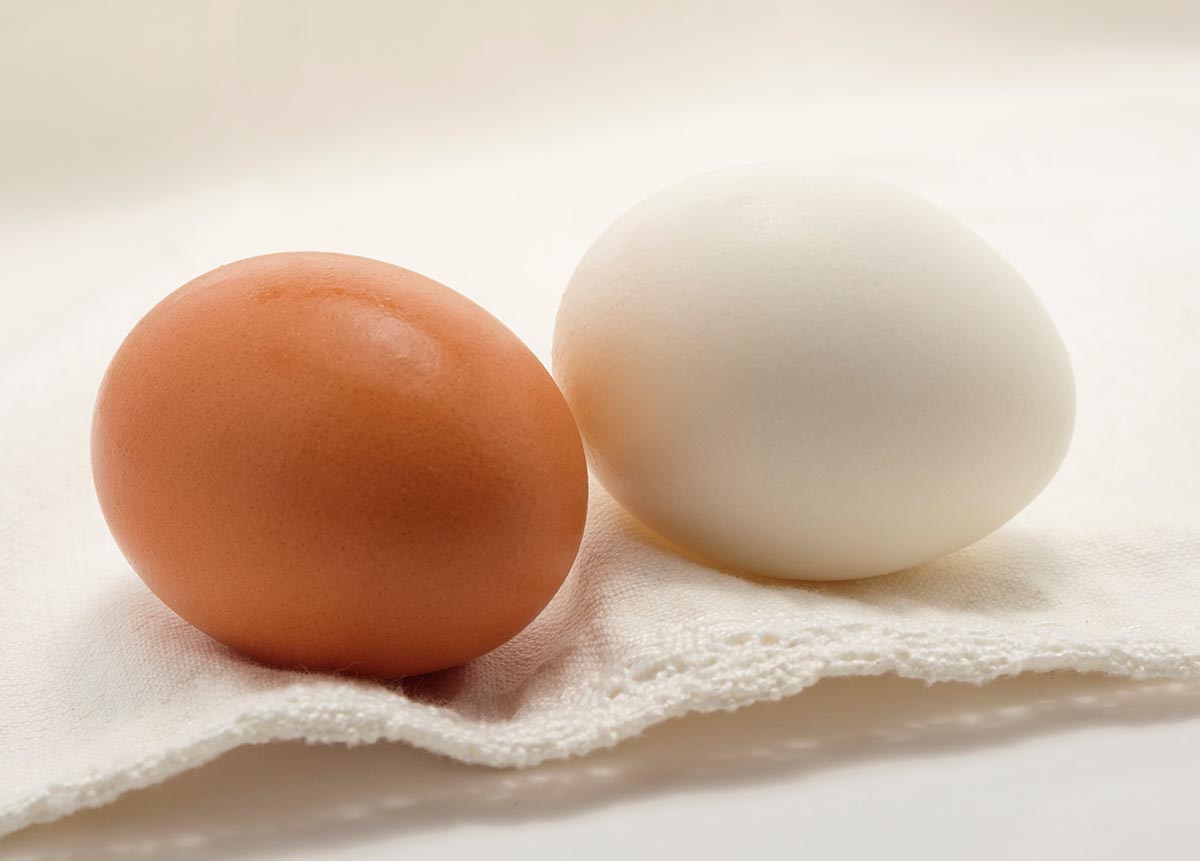 أخصائية غذائية تشرح الفرق بين البيض الأبيض والبني