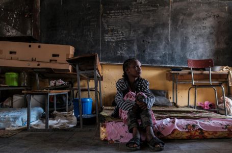 240 مليون طفل في العالم لم يلتحقوا بالمدارس 40 بالمئة منهم في أفريقيا جنوب الصحراء
