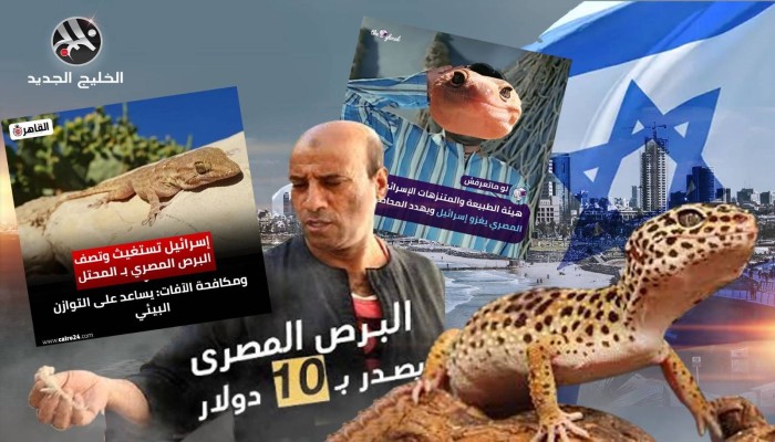 بالفكاهة والإسقاط السياسي.. مصريون يحتفون بغزو البرص لإسرائيل