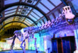 هيكل عظمي لأكبر الديناصورات يُعرض في لندن
