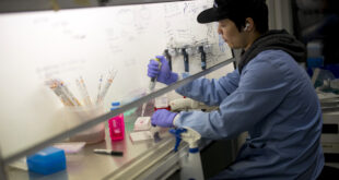 باحث ضمن فريق علمي في لندن يحاول اكتشاف لقاح لفيروس كورونا المستجد (كوفيد-19)- 10 فبراير 2020