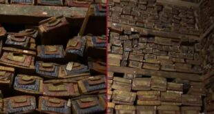 بالفيديو.. حقيقة العثور على مكتبة تعود إلى العصر العباسي نهبها المغول من بغداد