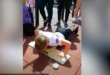 طفل روسي يحقق إنجازا مميزا في أداء تمرن الضغط (فيديو)