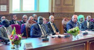 «إجراءات فورية» لحل أزمة السودان