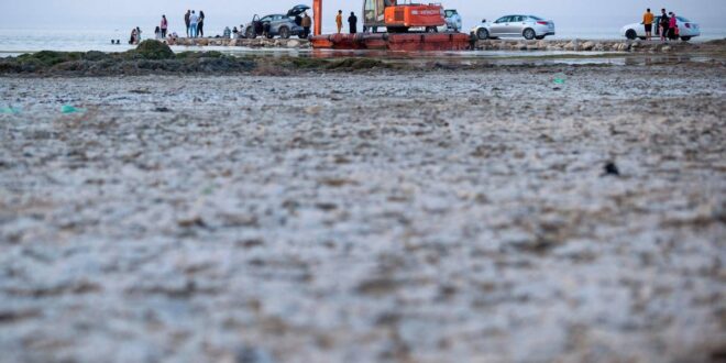 الجفاف يحوّل بحيرة الحبانية العراقية من وجهة سياحية إلى «بِركة راكدة»