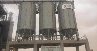 لماذا تأمل مصر في استضافة مركز عالمي لتخزين الحبوب؟