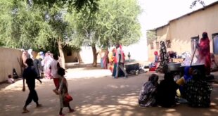 انتشار «مريع» لحمى الضنك بولاية سودانية