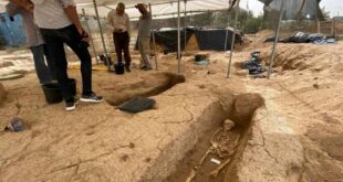 بالصور.. العثور على 4 قبور جديدة في المقبرة الرومانية شمالي غزة
