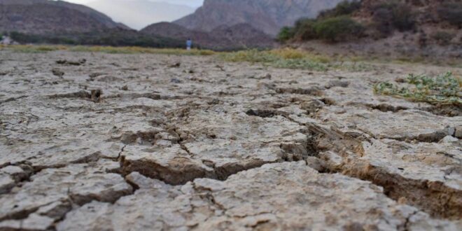 التغير المناخي يربك المزارعين اليمنيين ويهدر مواسم المحاصيل