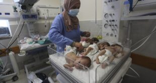 وصول 28 طفلاً فلسطينياً خديجاً إلى مصر بعد إجلائهم من مستشفى الشفاء