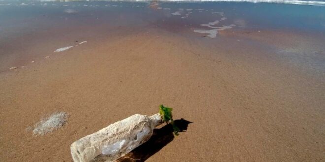 شواطئ الولايات المتحدة الجنوبية تعج بقطع أثرية