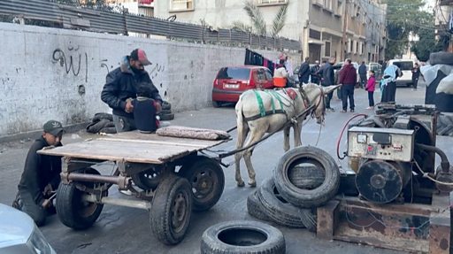 حرب غزة: مواطنون يشكون من ارتفاع أسعار الحمير بعد ازدياد الطلب عليها خلال الحرب