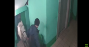 روسي يفاجئ جيرانه باصطحابه حصانا إلى شقته! (فيديو)