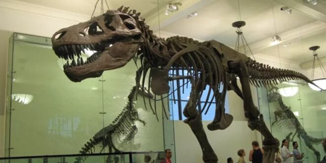 "الديناصور" الهندي.. هل يسرح في الطبيعة حقا أم في مخيلة البشر؟