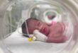 ولادة طفلة من رحم إمرأة قتلت في القصف الإسرائيلي في غزة