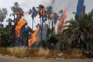 حريق في اسرائيل والسلطات تحاول اجلاء المستوطنين
