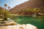 The Remarkable Impact of Nature on Human Mood and Mind in the Arab World